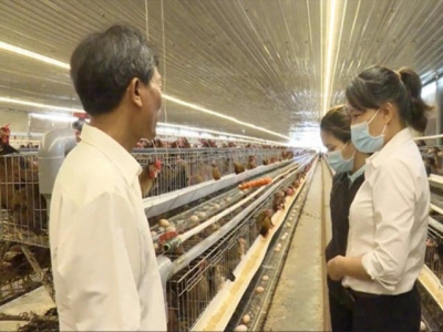 Khanh Hoa develops sustainable livestock industry adapting to climate change