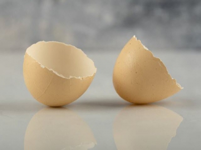 Chiết xuất vỏ trứng mở ra cơ hội kinh doanh tỷ đô