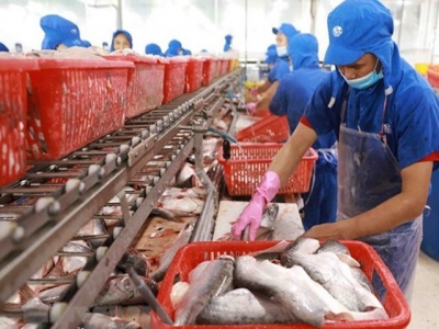 Fishery exports projected to near 8.9 billion USD this year