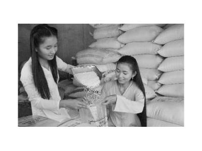 Gạo Nàng Thơm Chợ Đào Bị Nhái
