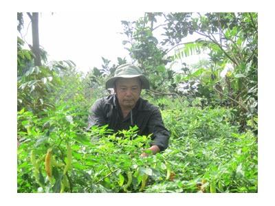 Ông Nguyễn Hoài Nam Vươn Lên Từ Mô Hình 