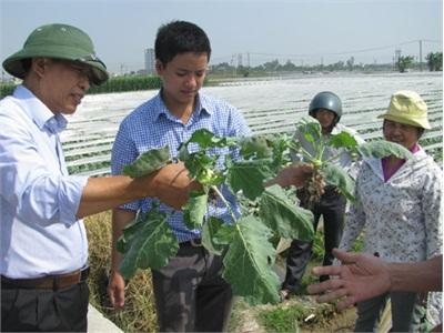 Xây Dựng Bệnh Viện Cho Cây Trồng