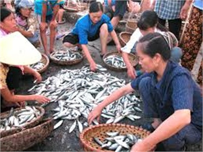 Đưa Vào Hoạt Động Nhà Máy Chế Biến Bột Cá Quy Mô Lớn Nhất Châu Á