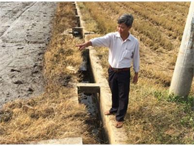 Bà Rịa - Vũng Tàu Chuyển Dịch Cơ Cấu Cây Trồng Nhiều Mô Hình Hiệu Quả