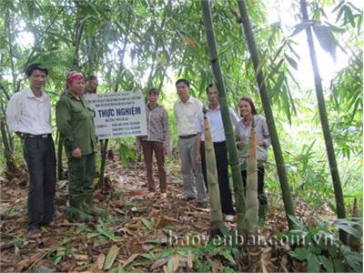 Thâm Canh Cho Hiệu Quả Cao