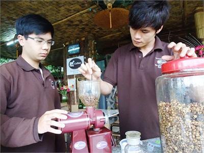 Moka Năng Suất Thấp Nhưng Giá Trị Cao