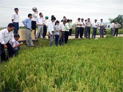 Thực Hiện Thành Công Nhiều Mô Hình Khuyến Nông