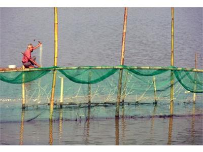 Thủy Sản Lạng Sơn Đã Qua Những Trầm Lắng