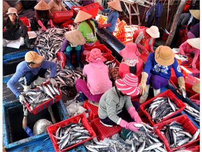 Hàng Nghìn Tỷ Đồng Xây 6 Trung Tâm Hậu Cần Nghề Cá