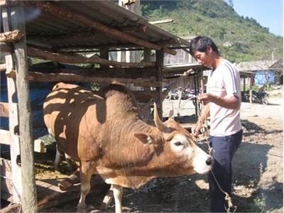 Nâng Đỡ Sức Vươn Lên Của Hộ Nghèo