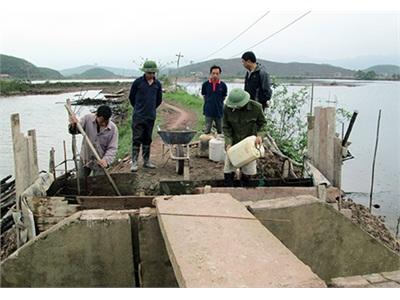 Xã Hải Lạng (Quảng Ninh) Thí Điểm Nuôi Tôm Công Nghiệp