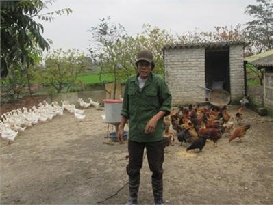 Giàu Có Từ Làm VAC