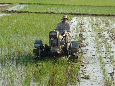 Chủ Động Giành Thắng Lợi Vụ Hè Thu