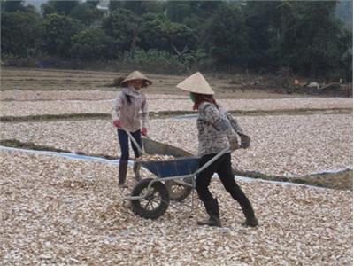 Chuyện Làm Giàu Ở Mường Lay