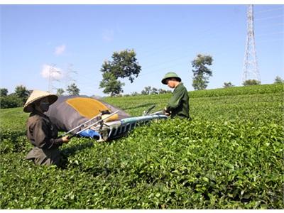 Xây Dựng Nền Nông Nghiệp Toàn Diện Theo Hướng Hiện Đại