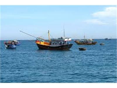 Thủy Sản Việt Nam Có Mặt Tại 156 Thị Trường Thế Giới