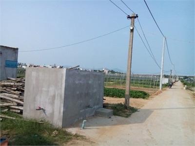 Thăm Vùng Rau Đạt Tiêu Chuẩn VietGAP Đầu Tiên Của Đà Nẵng
