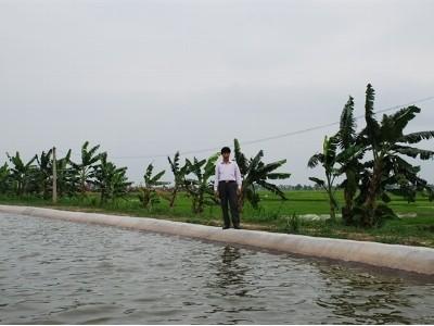 Những cái ao nổi lưng chừng làng