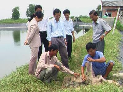 Một số kết quả trong công tác khuyến ngư tỉnh Tiền Giang