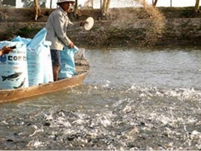 Phát triển bền vững ngành thủy sản trong tương lai