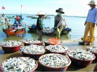 Nguồn lợi thủy sản biển đang cạn kiệt