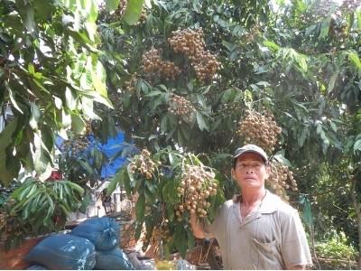 Nhãn Idor không lo ế