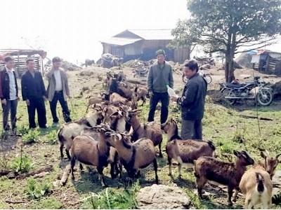 Duy trì và phát huy hiệu quả