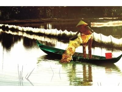 Thành Phố Cà Mau nuôi tôm nước tịnh đạt kết quả khá