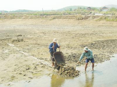 Thận trọng khi nuôi tôm mùa nắng nóng