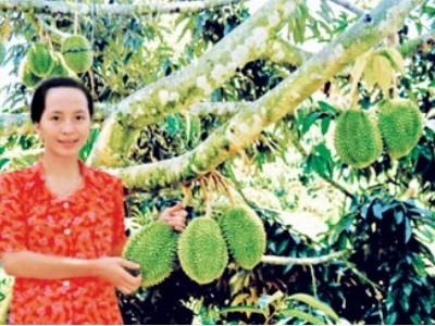 Về thăm vương quốc sầu riêng