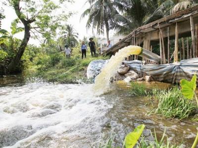 Hai lúa góp tiền bơm nước cứu lúa