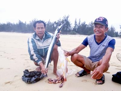 Cá chết hàng loạt trôi dạt vào bờ biển