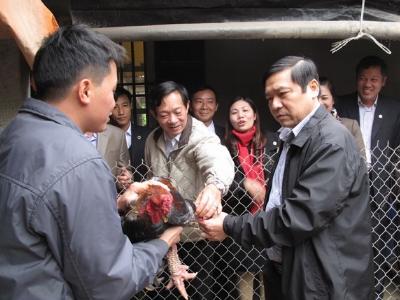 Tạo dựng cơ sở vật chất cho hoạt động dạy nghề và hỗ trợ nông dân