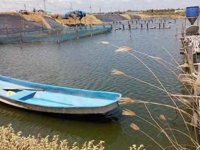 Giải pháp nuôi thủy sản ứng phó hạn, xâm nhập mặn