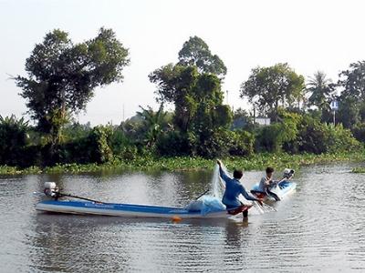 Hậu Giang giăng lưới bắt cá vồ đém trên sông Nước Trong