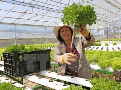 Nhật Bản xúc tiến đầu tư vào nông nghiệp Việt Nam