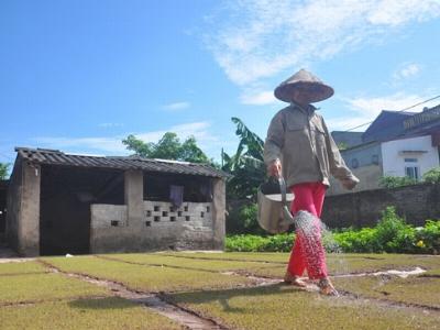 Phú Xuyên xây dựng nông thôn mới xác định rõ lộ trình, không rập khuôn