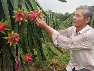 Ông Ngọc bao đồng giỏi làm, giỏi vận động
