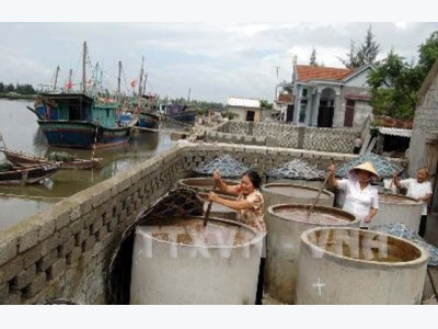 Nghe An builds seafood processing centres