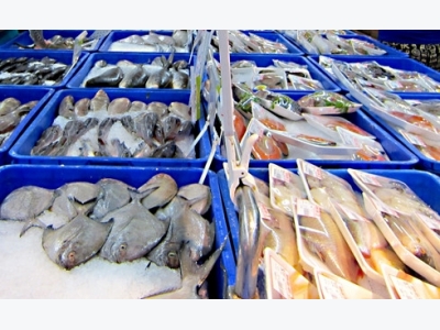 Seafood exports up nearly 8% in first quarter