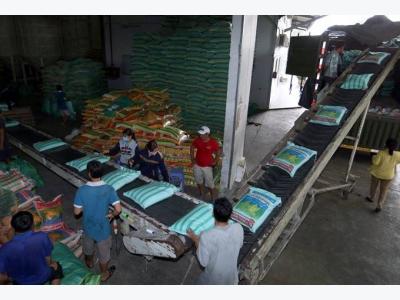 Domestic price hike hurts VN rice exporters
