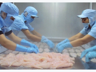 90% of pangasius catfishes in the US market are imported from Vietnam