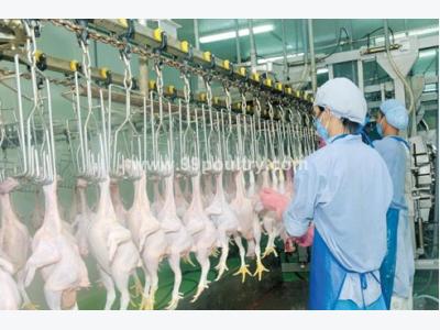 Company prepares for export of poultry meat to Japan