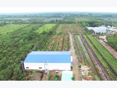 Trang trại chanh lớn nhất Việt Nam được đầu tư bao nhiêu tiền?