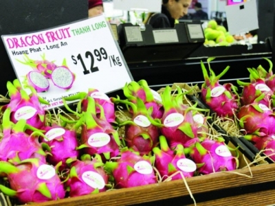 Promising prospects for exports to Australia