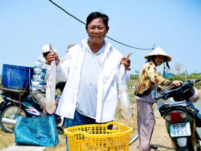 Bí quyết làm giàu: Nuôi cá dứa không lo đầu ra