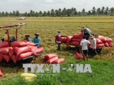 Funds given to farmers who grow crops on large fields