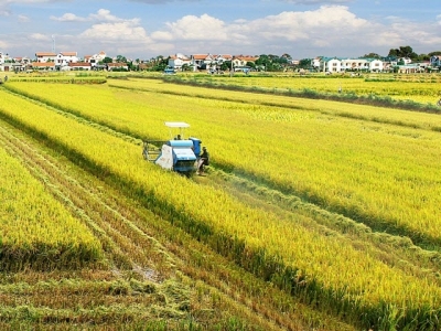Sustainable agriculture transformation project reviewed