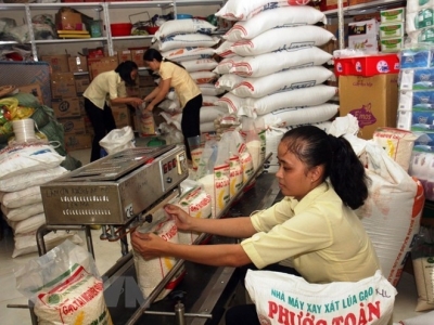 An Giang earns over 41 million USD from rice exports