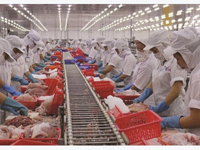 United States recognizes Vietnams pangasius inspection system
